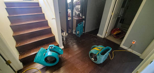 Best Water damage restoration near me  in North Myrtle Beach, SC