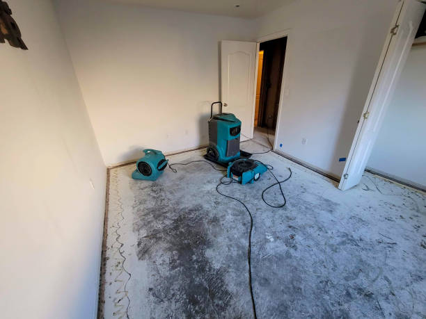 Best Flood damage cleanup  in North Myrtle Beach, SC