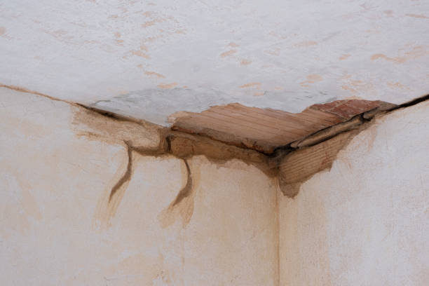 Best Sewage cleanup and water damage restoration  in North Myrtle Beach, SC
