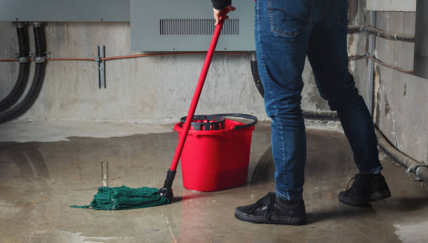 Professional Water damage restoration in SC
