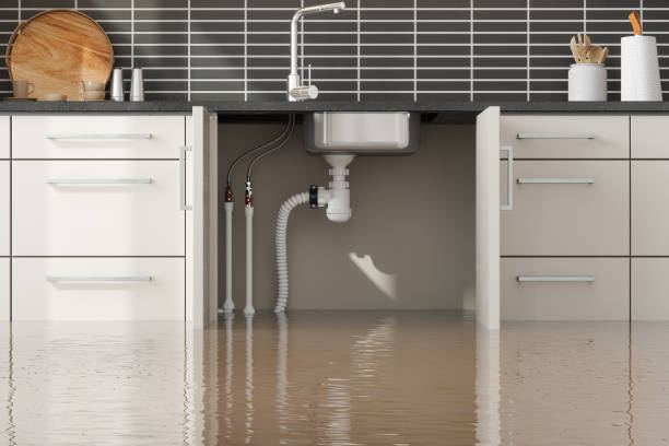 Best Flood restoration services  in North Myrtle Beach, SC