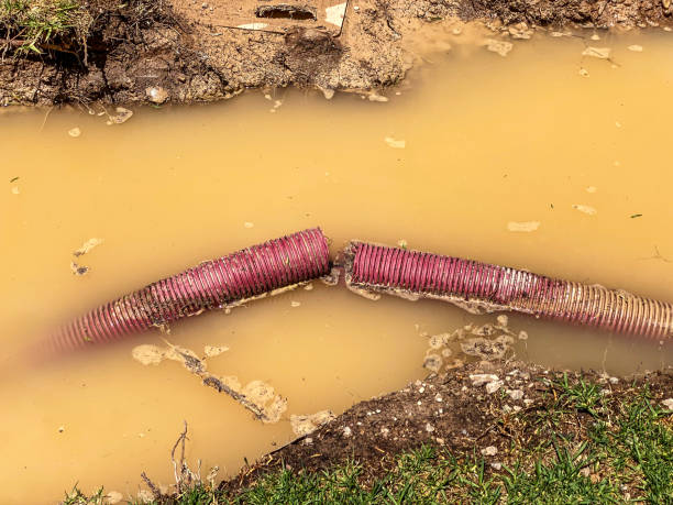 Best 24-hour water damage restoration  in North Myrtle Beach, SC